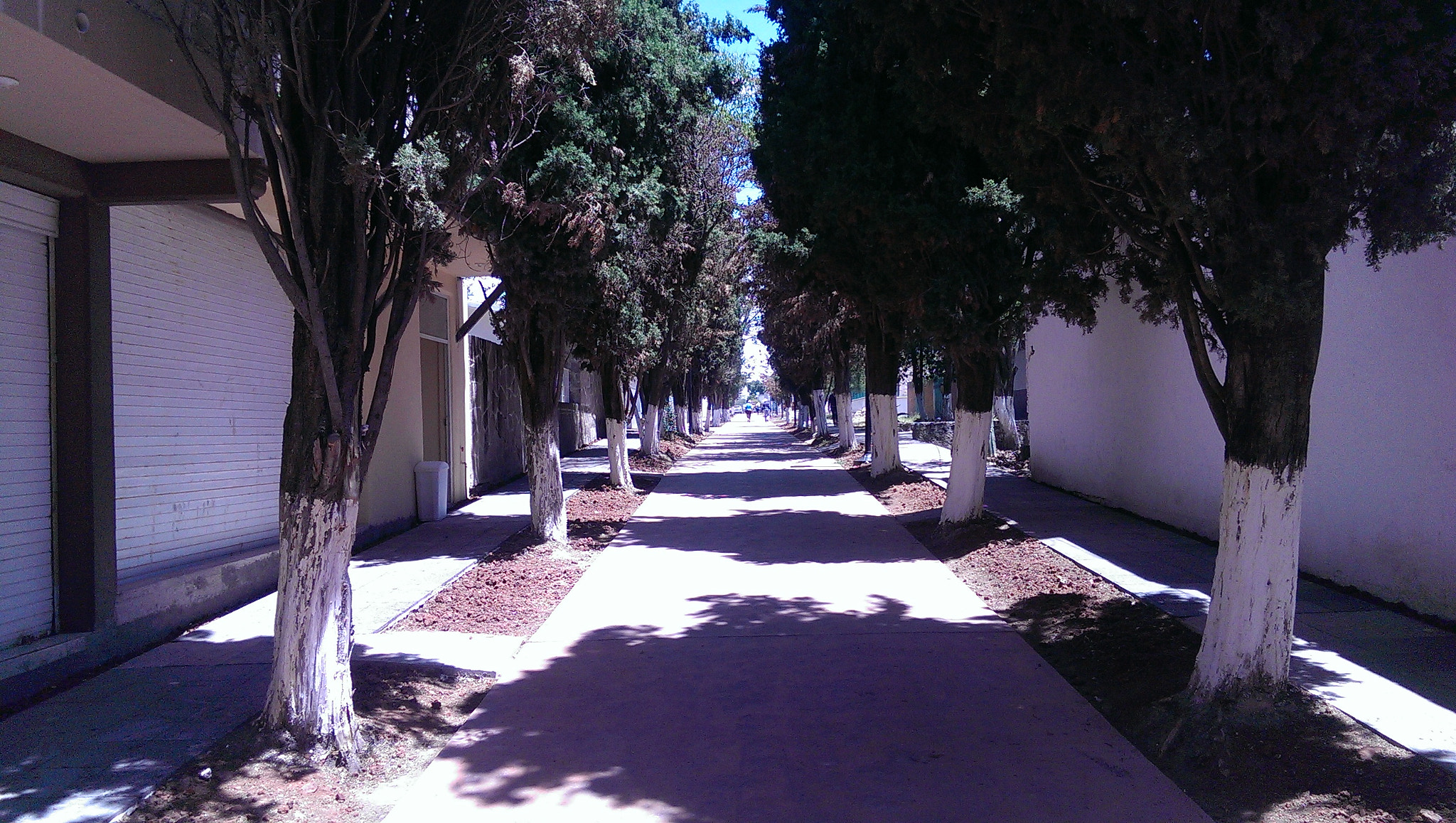 HTC ONE sample photo. Imag photography