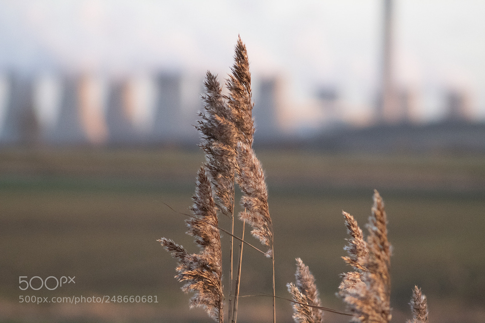 Canon EOS 1300D (EOS Rebel T6 / EOS Kiss X80) sample photo. Blurred horizon landscape beyond photography