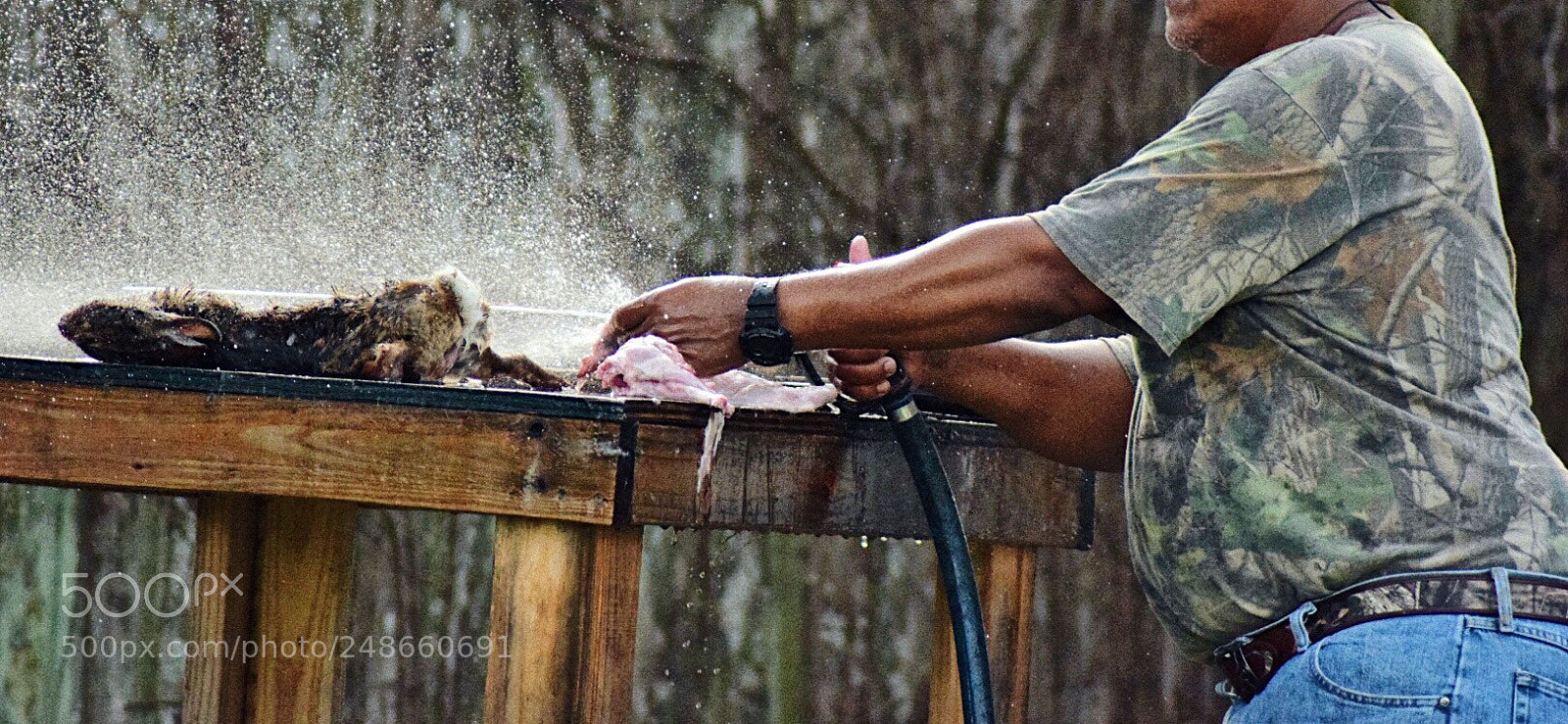 Nikon D5300 sample photo. Rabbit hunting season photography