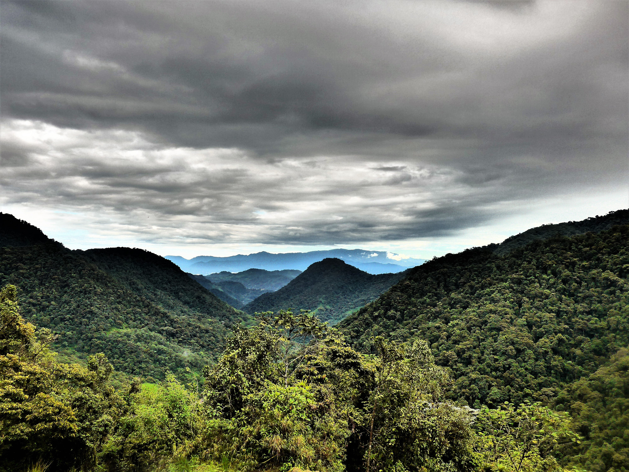 Panasonic Lumix DMC-LF1 sample photo. View from bellavista cloud forest ecuador photography