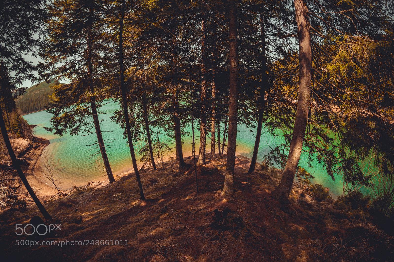 Nikon D5300 sample photo. Bolboci lake, romania photography