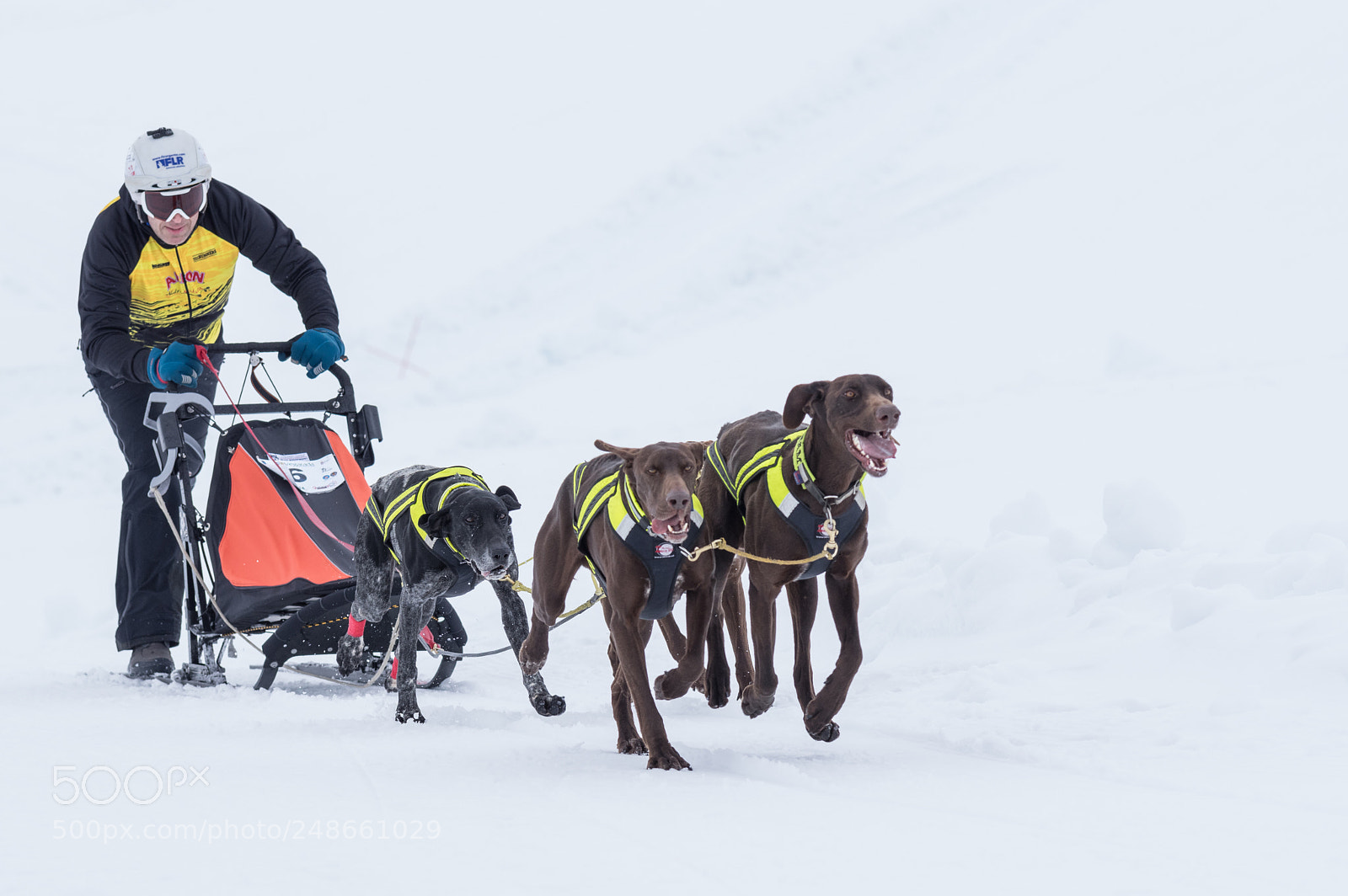 Pentax K-3 II sample photo. Musher in vegarada. photography