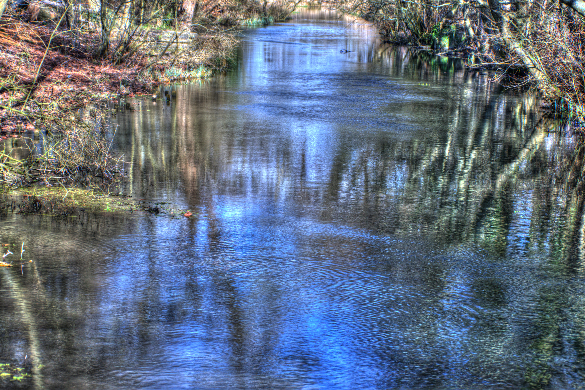 Nikon D800 sample photo. Reflected scene photography