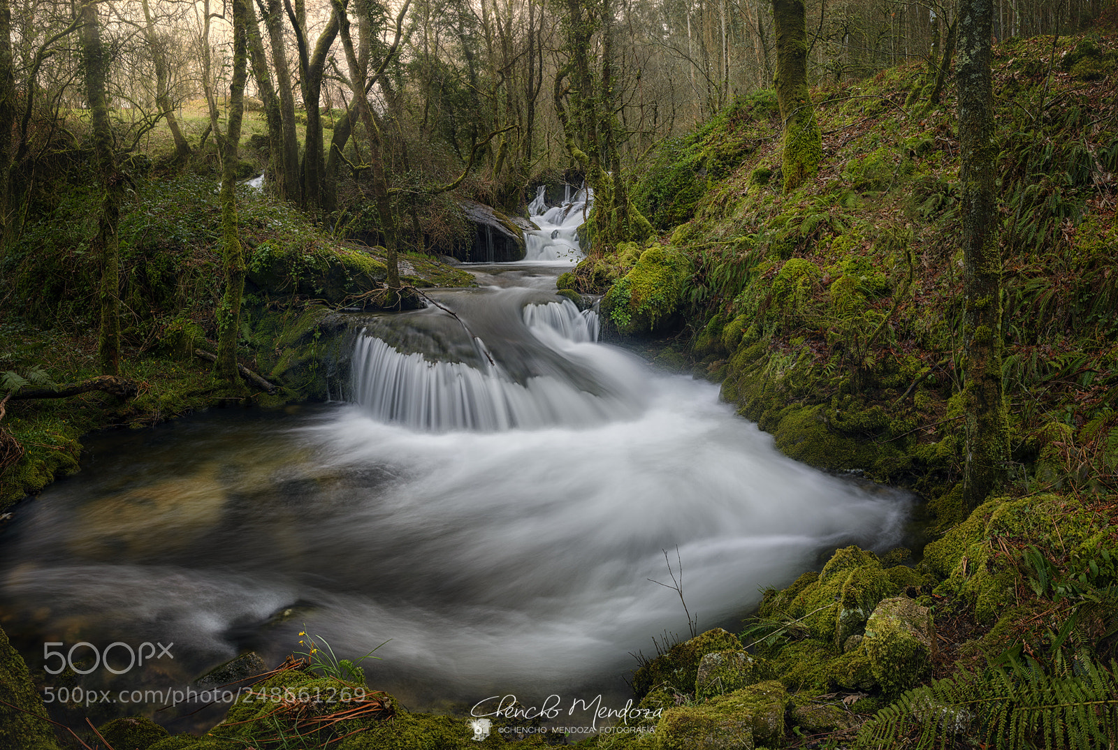 Nikon D610 sample photo. Rio de bexo photography