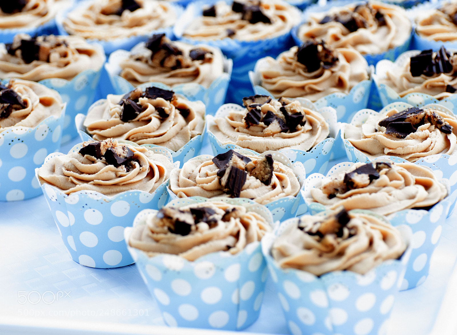 Nikon D5000 sample photo. Peanut butter chocolate cupcakes photography