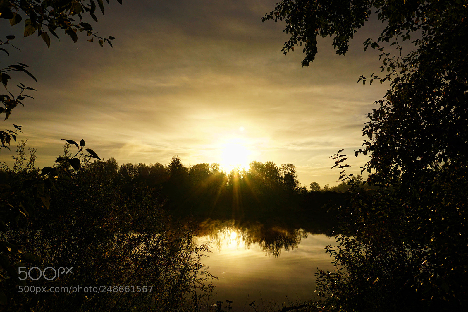 Sony a6000 sample photo. The sun shines through photography