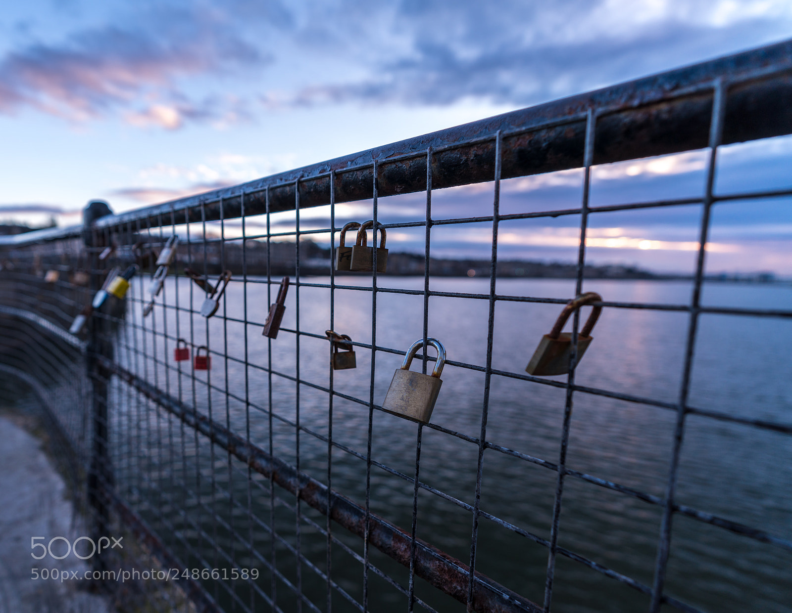 Sony a7R III sample photo. Random edinburgh photography