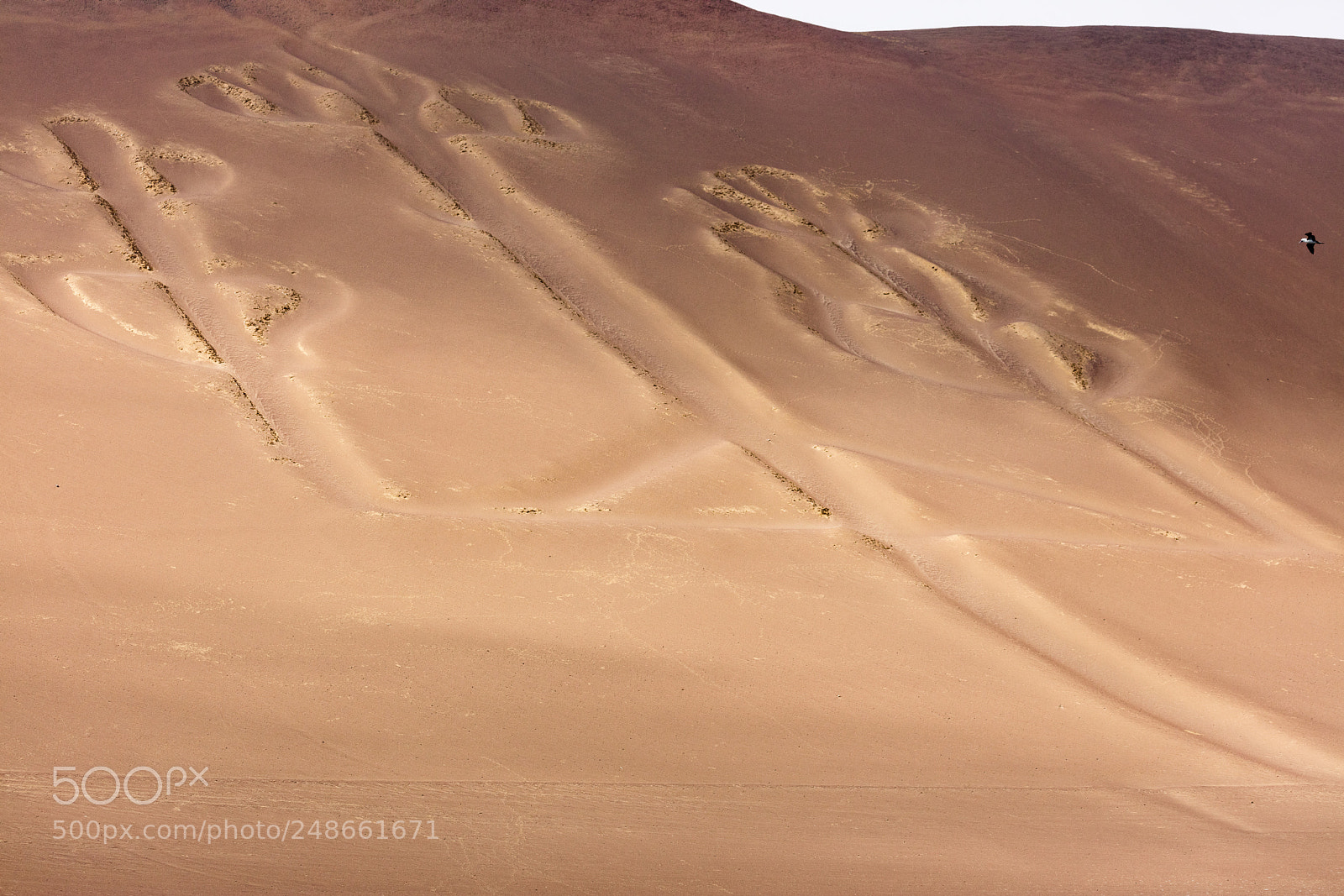 Canon EOS 5DS R sample photo. Ballestas candelabrum mark photography