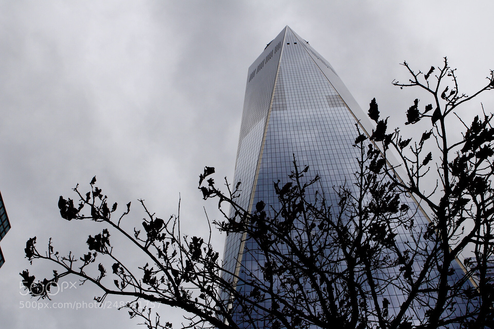 Canon EOS 760D (EOS Rebel T6s / EOS 8000D) sample photo. Nyc photography