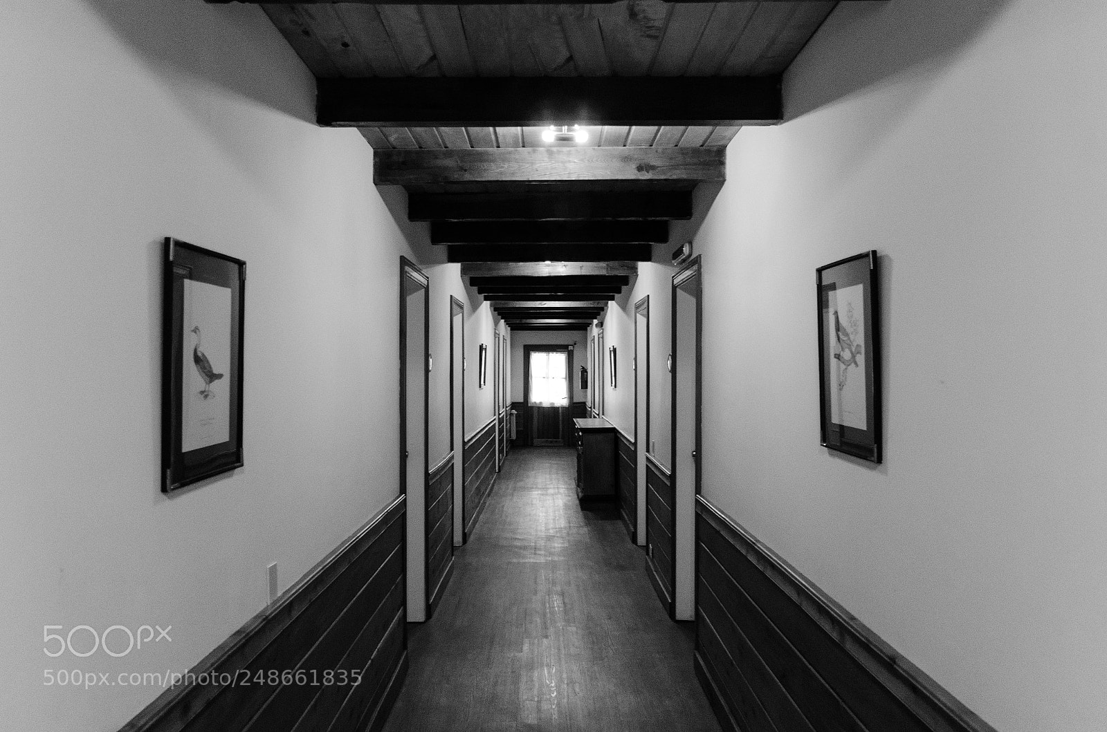 Nikon D5100 sample photo. The hotel photography