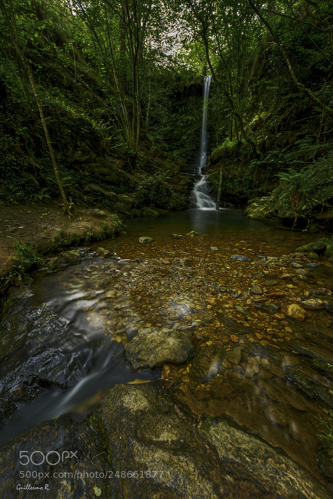 Nikon D7200 sample photo. Grg photography