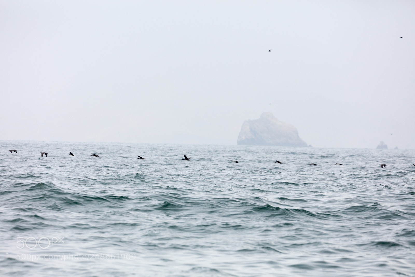 Canon EOS 5DS R sample photo. Ballestas islands, peru photography