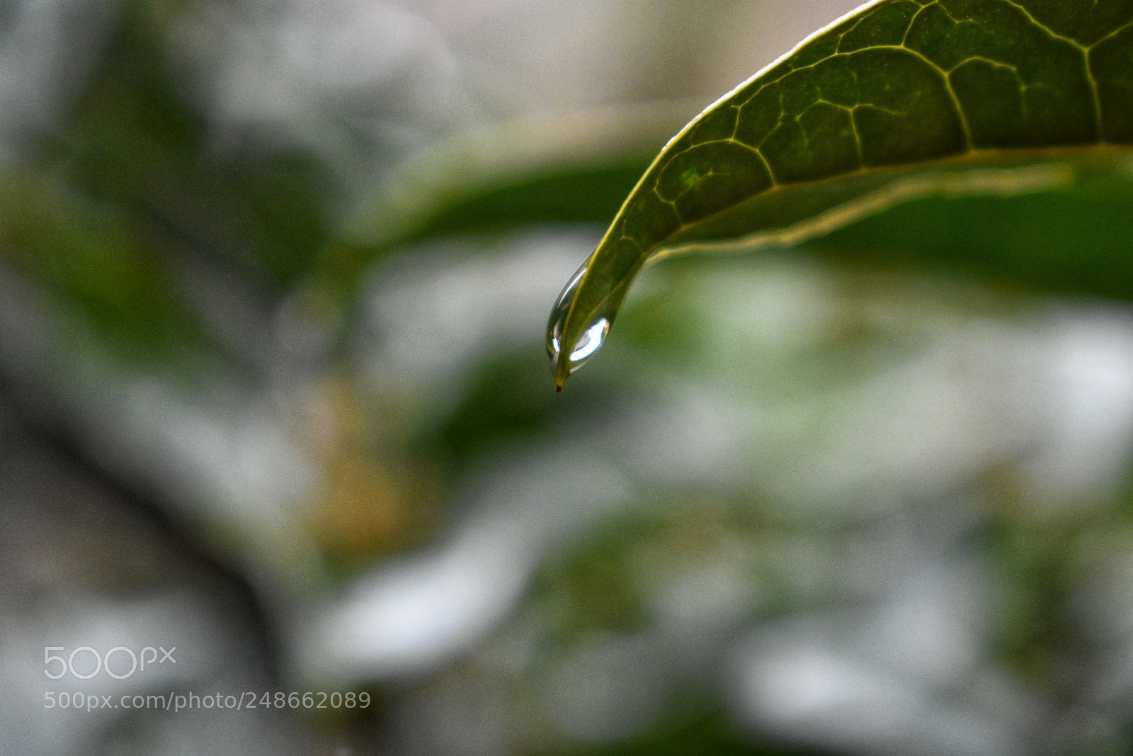 Nikon D3400 sample photo. Untitled photography