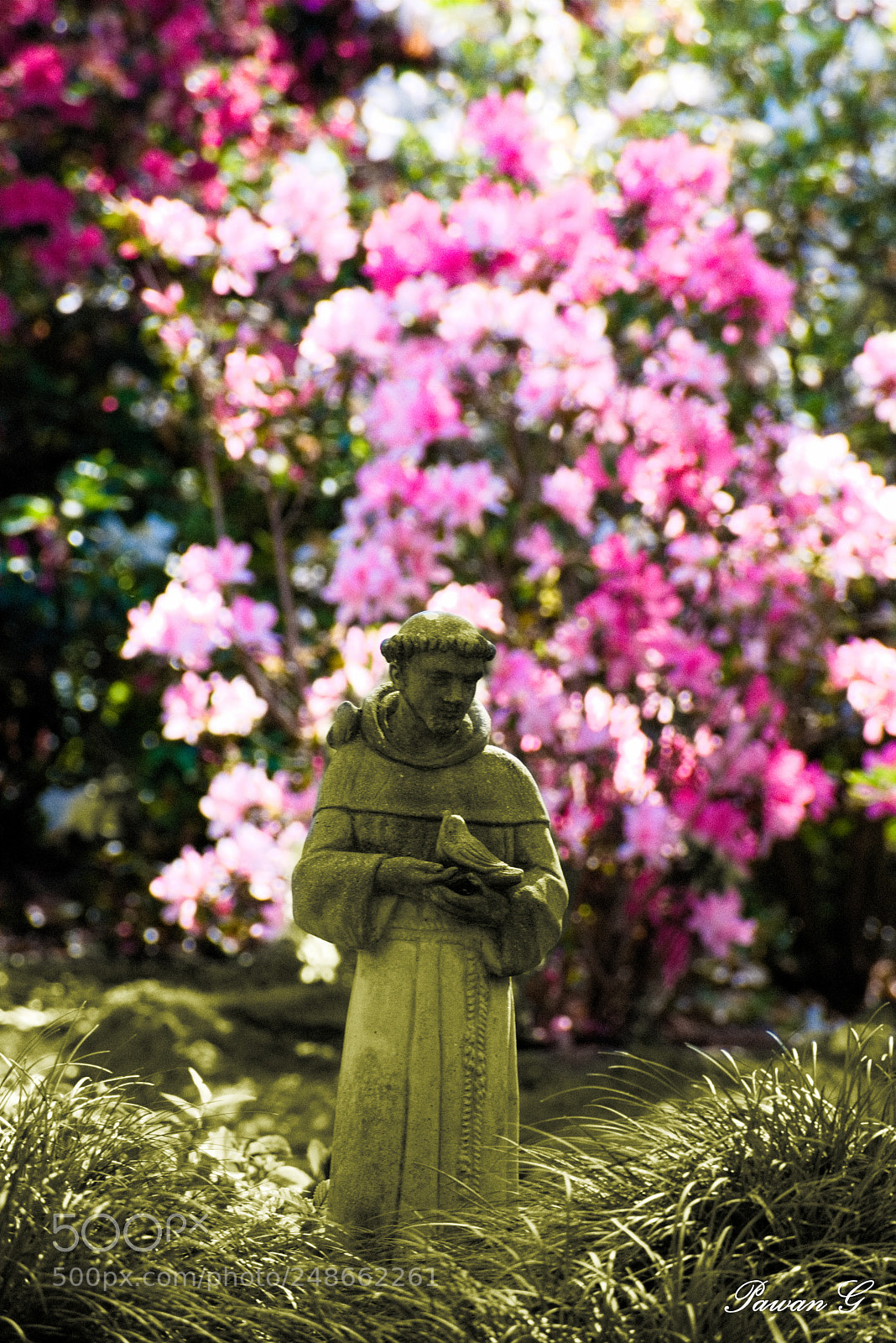 Nikon D3400 sample photo. Peace photography