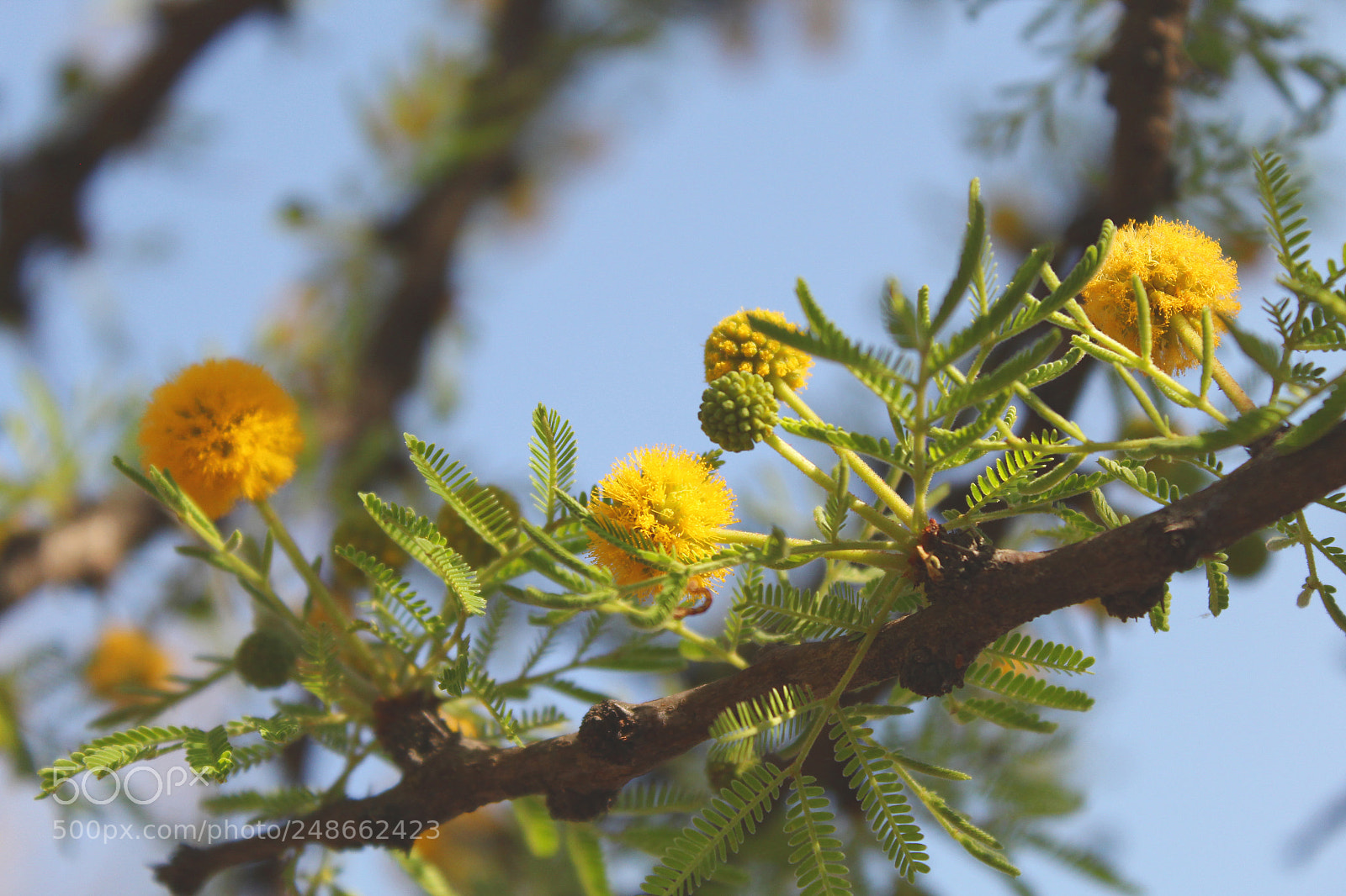 Canon EOS 1300D (EOS Rebel T6 / EOS Kiss X80) sample photo. Hdr 2 photography