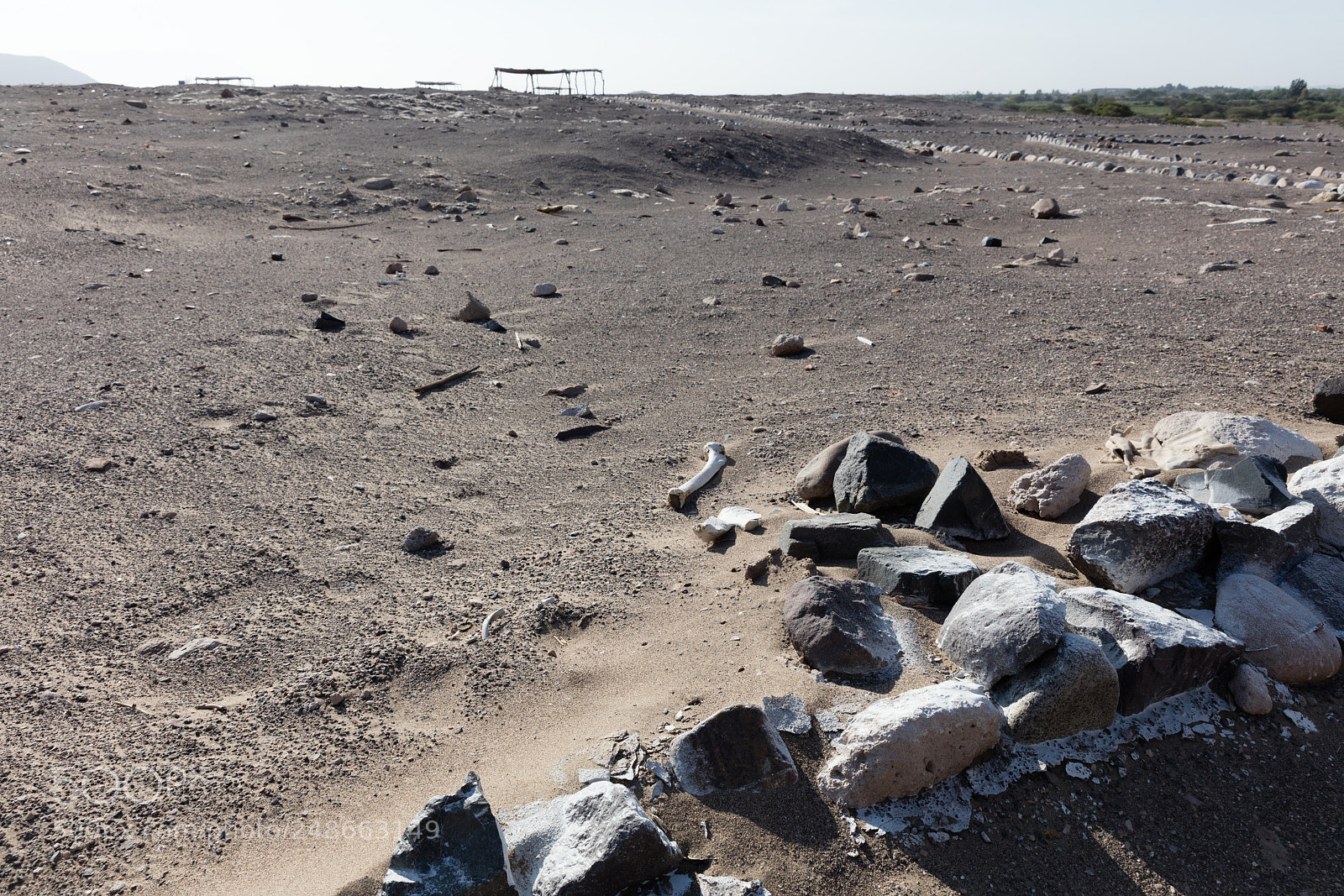 Canon EOS 5DS R sample photo. Chauchilla necropolis, peru photography