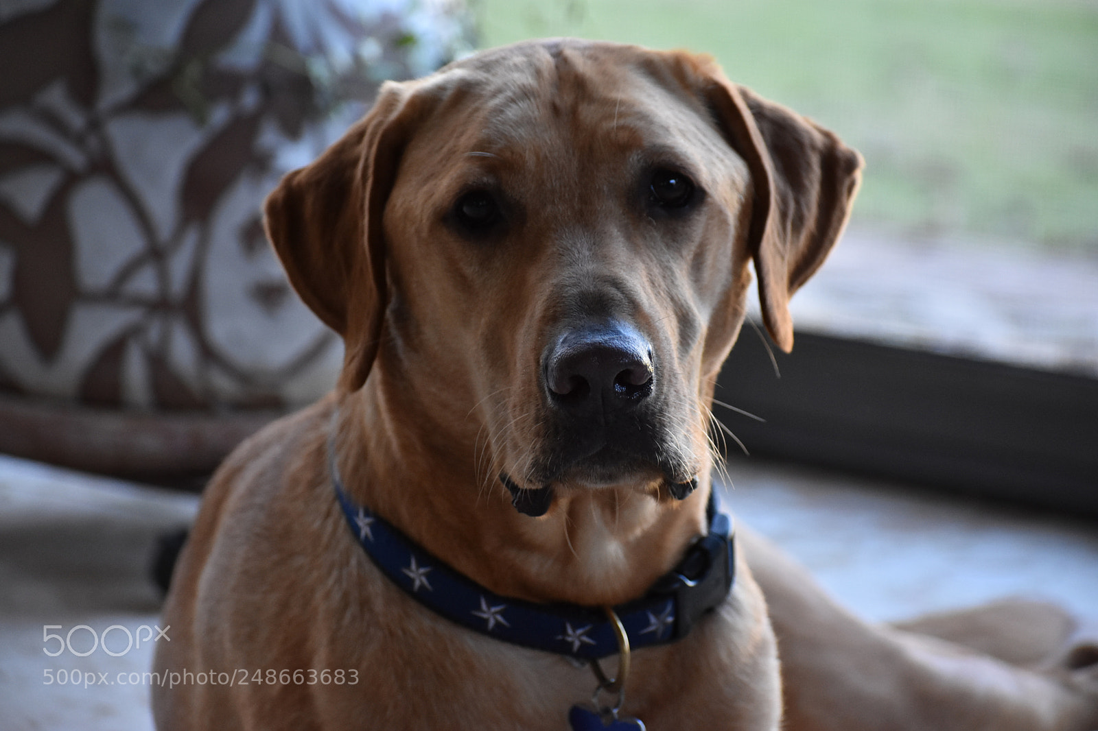 Nikon D3400 sample photo. Sam photography