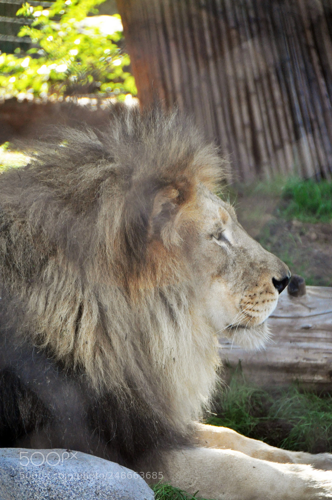 Nikon D90 sample photo. Let me just chill photography