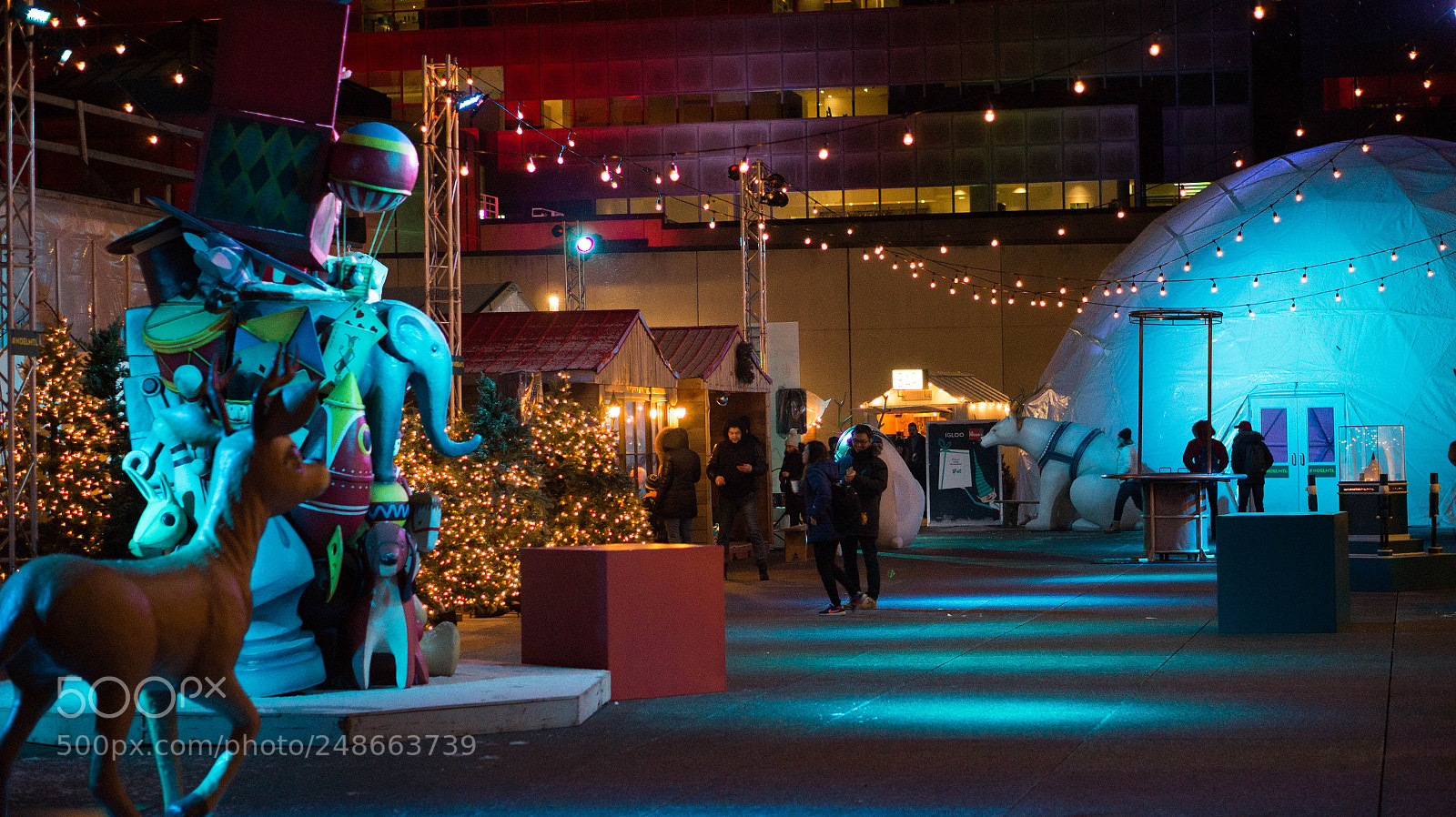 Sony Alpha a3500 sample photo. Christmas in montreal photography