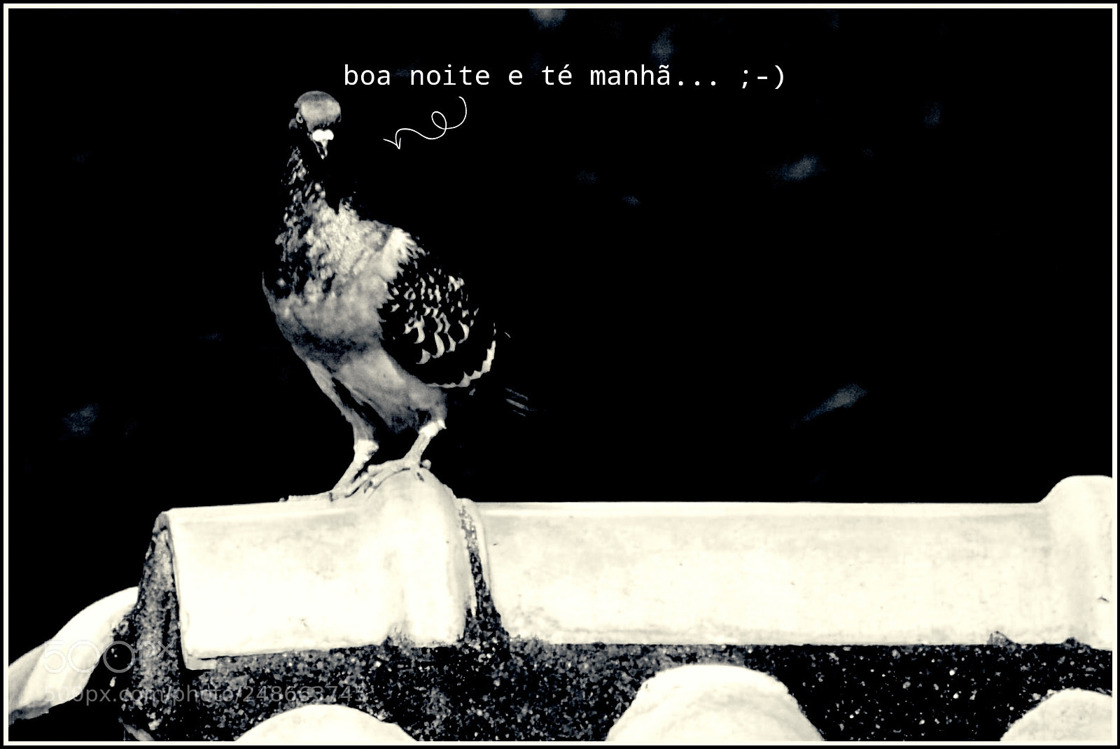 Nikon D5300 sample photo. Boa noite e t photography