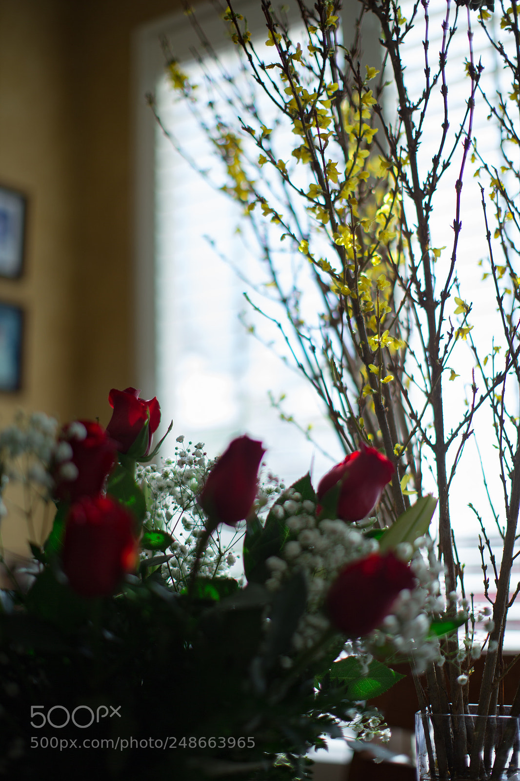 Canon EOS-1D X sample photo. Agu photography