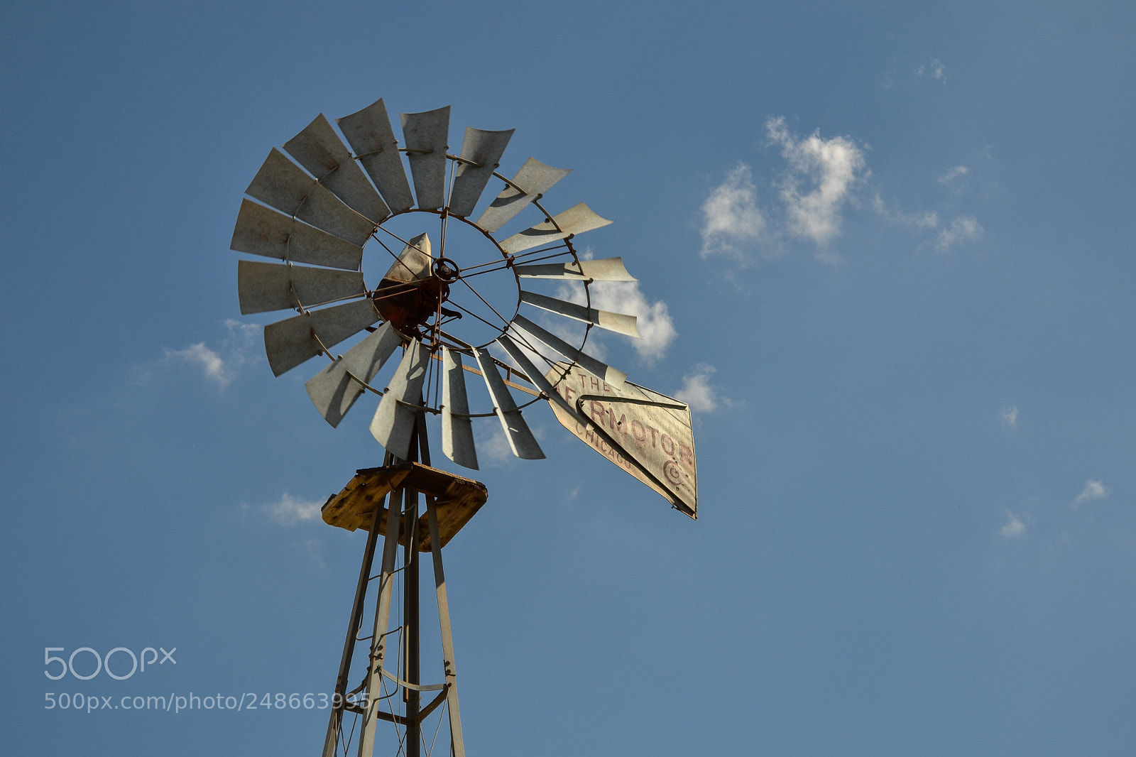 Nikon D3100 sample photo. News21 photography