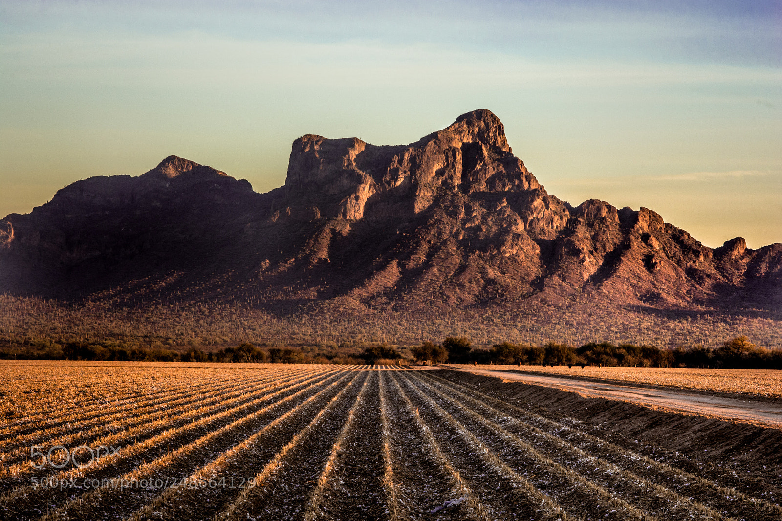 Nikon D7100 sample photo. Picacho peak, arizona photography
