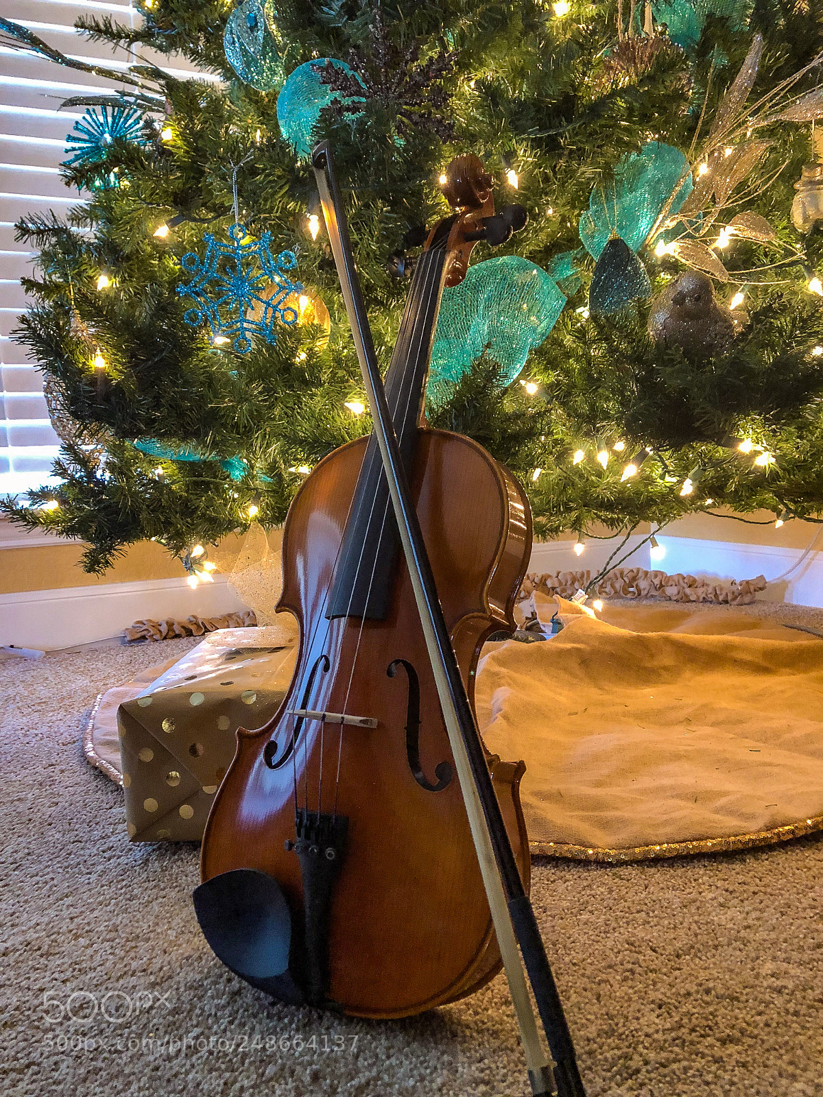 Apple iPhone 8 Plus sample photo. My viola photography