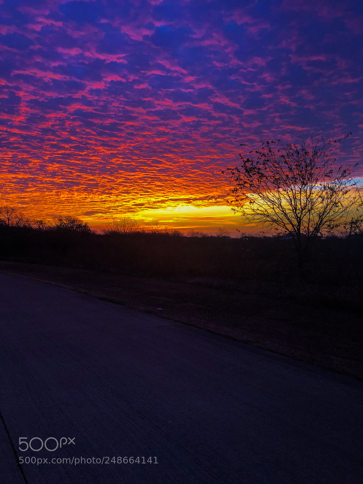 Apple iPhone 8 Plus sample photo. Early morning sunrise photography