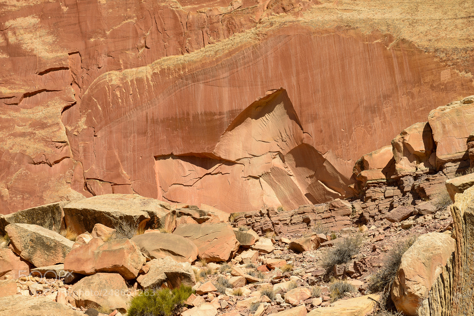 Nikon D800 sample photo. Capitol reef national park photography