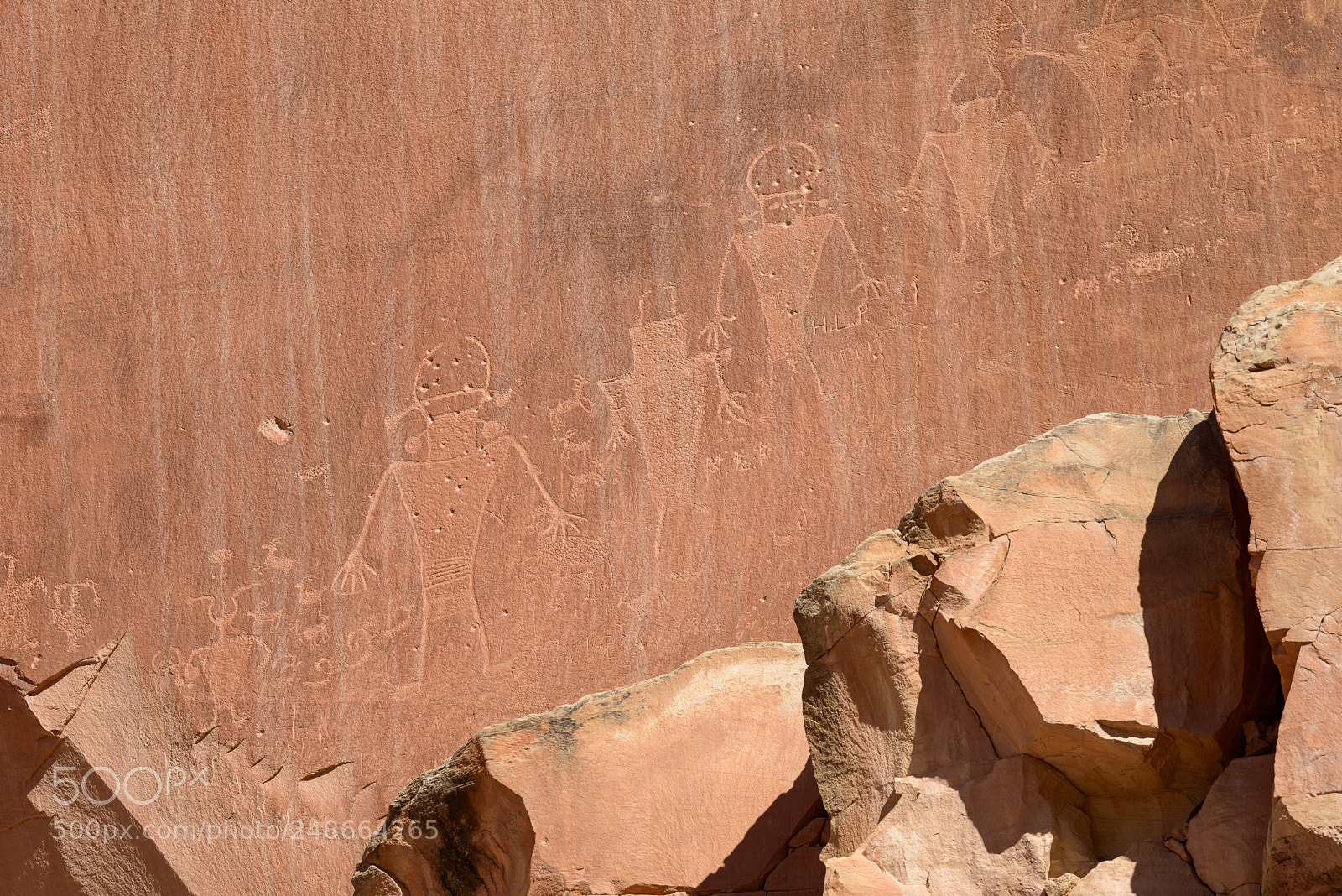 Nikon D800 sample photo. Capitol reef national park photography