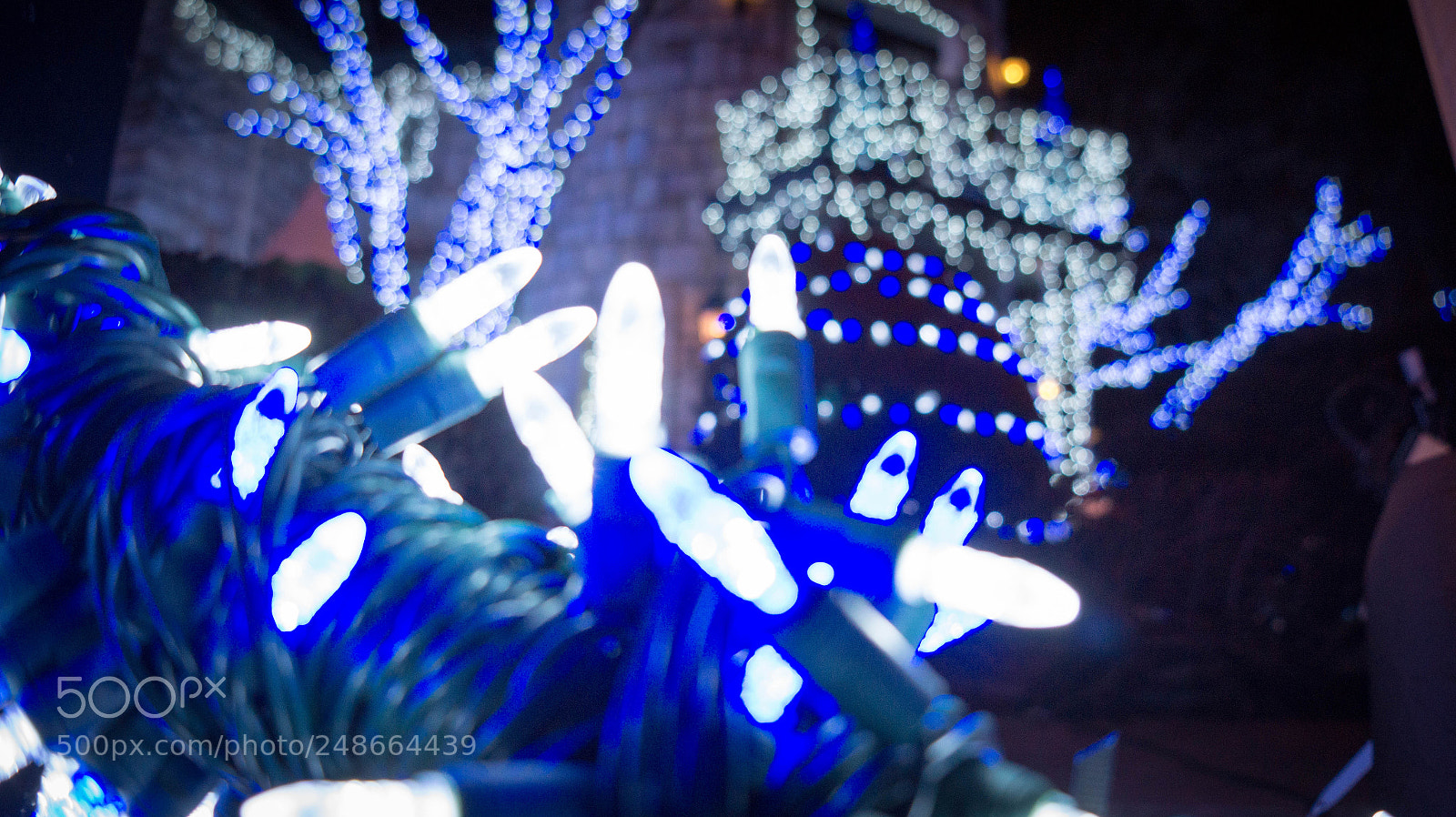 Sony Alpha a3500 sample photo. Christmas in montreal photography