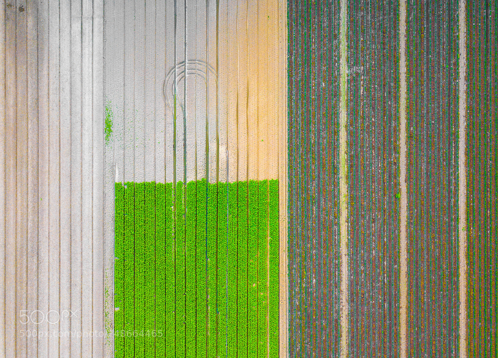 DJI FC220 sample photo. Fertile photography