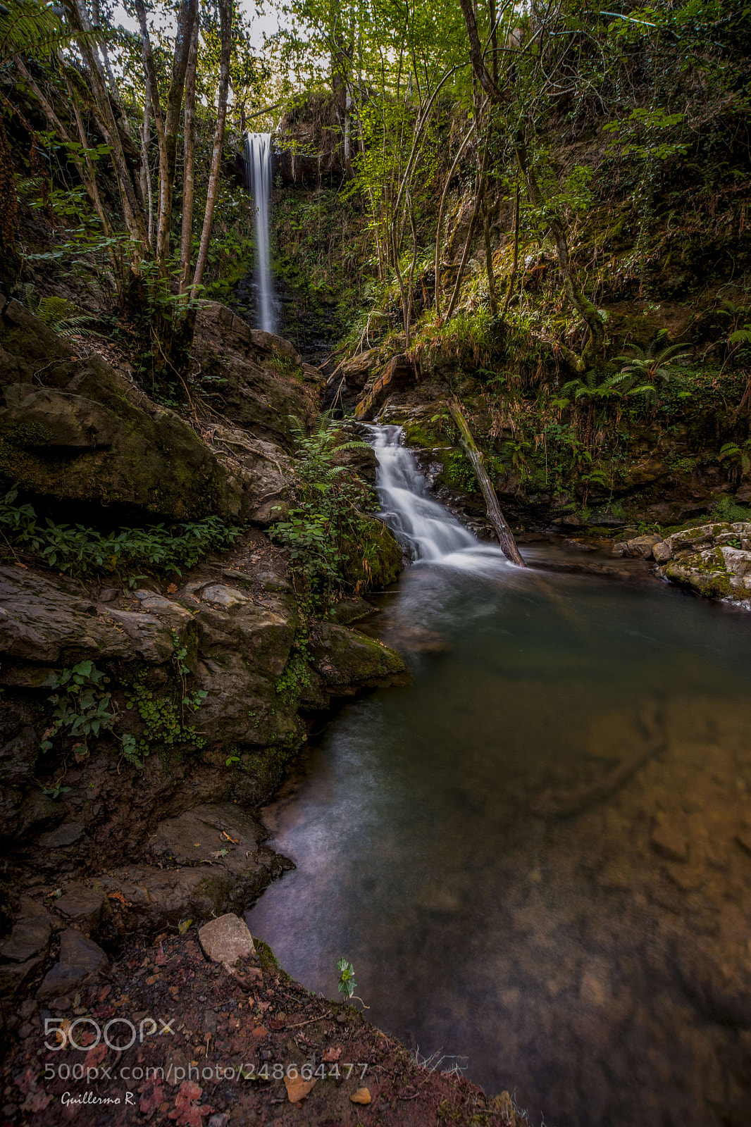 Nikon D7200 sample photo. Grg photography