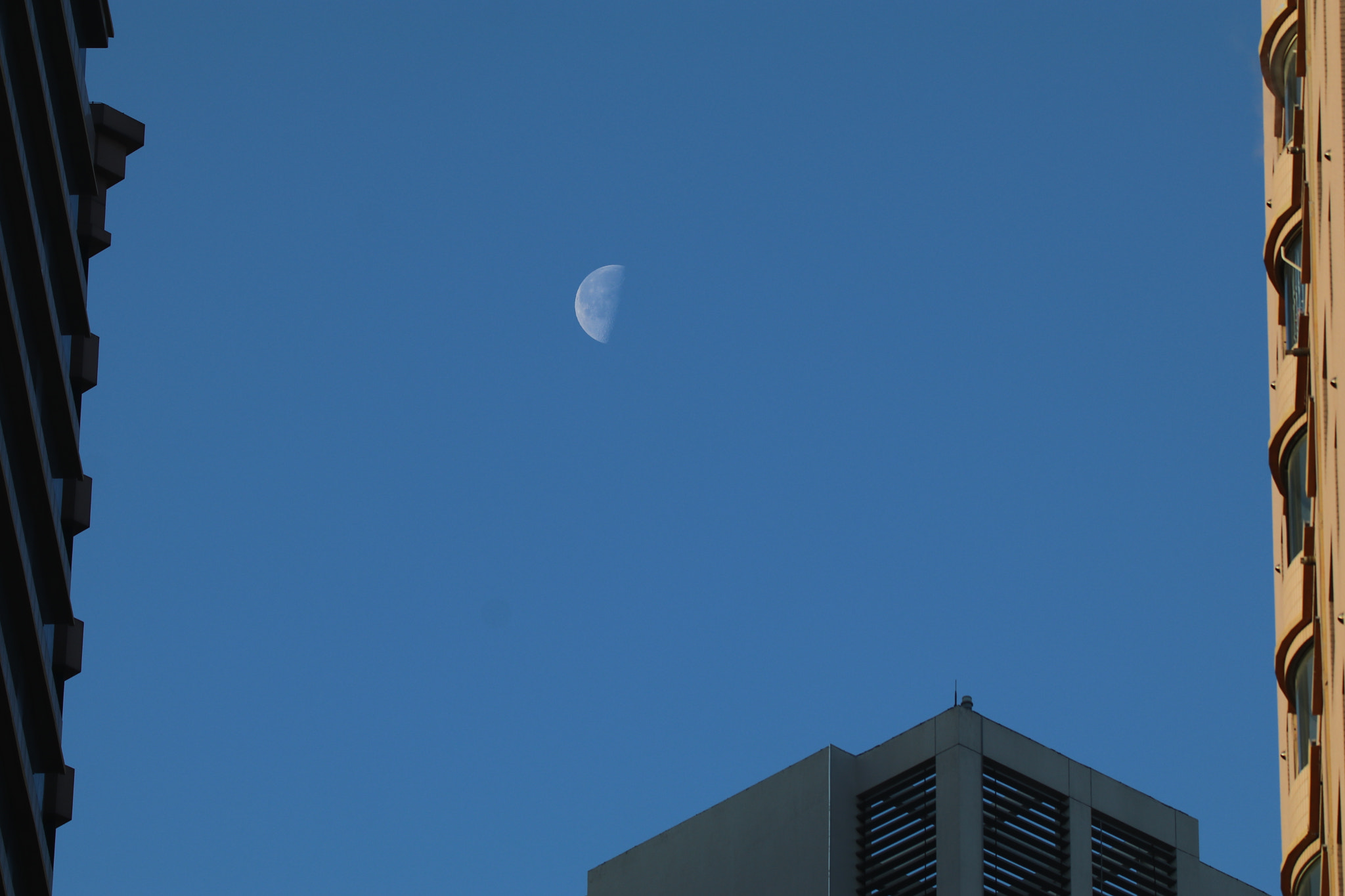 Tamron SP 150-600mm F5-6.3 Di VC USD sample photo. 城市之月 photography