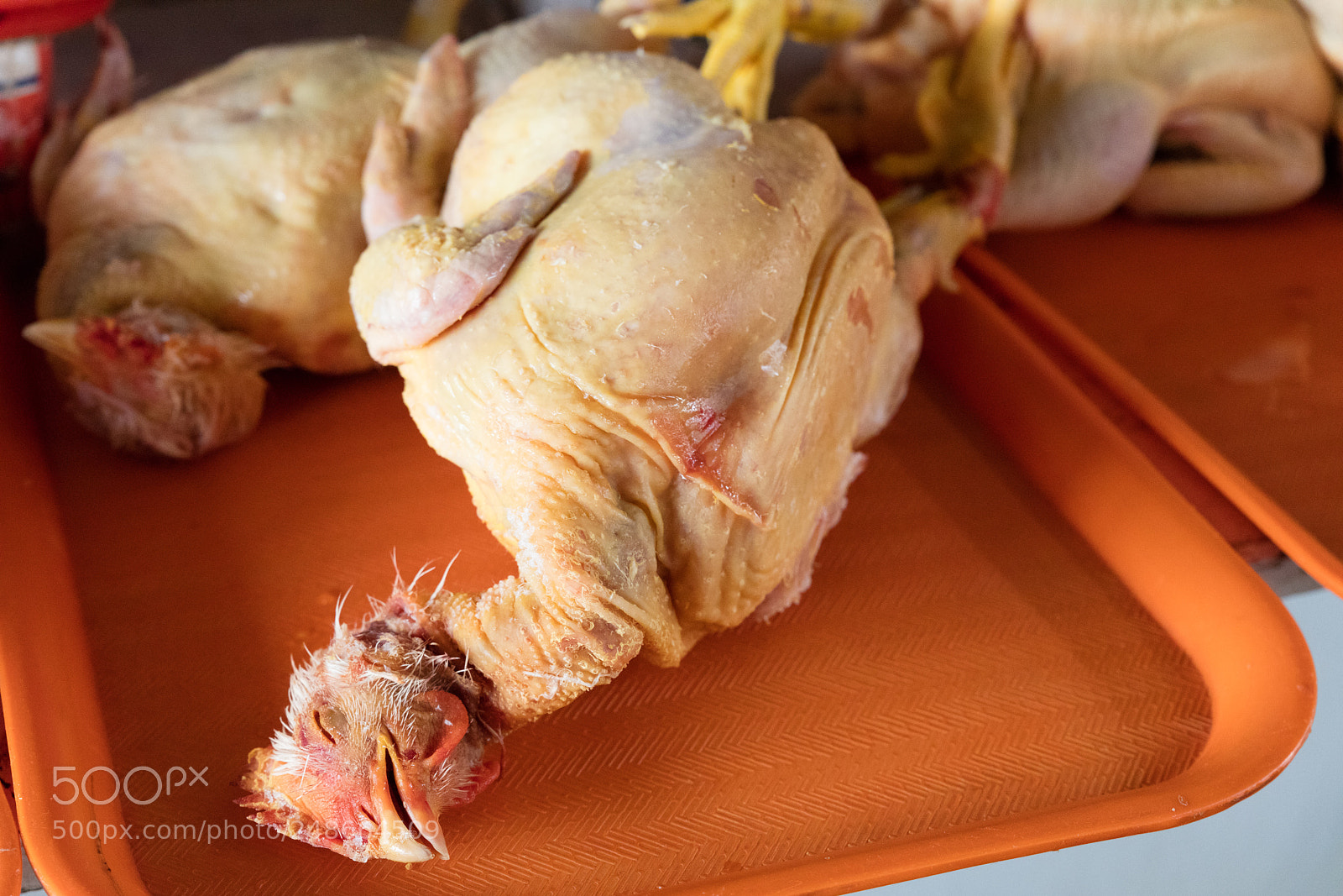 Canon EOS 5DS R sample photo. Chicken exposed in market photography