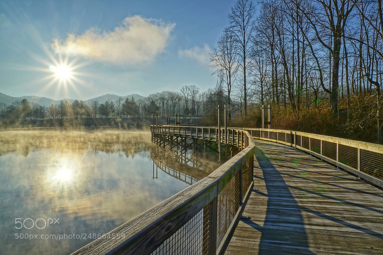 Sony a6000 sample photo. Morning walk on the photography