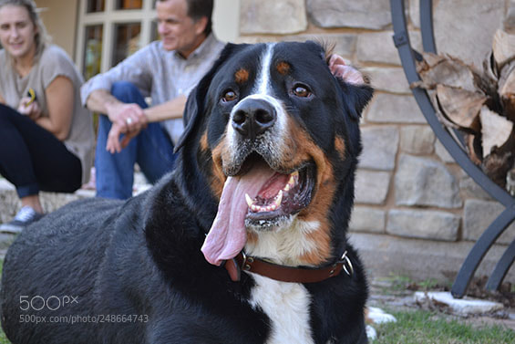 Nikon D3100 sample photo. Rawlings photography