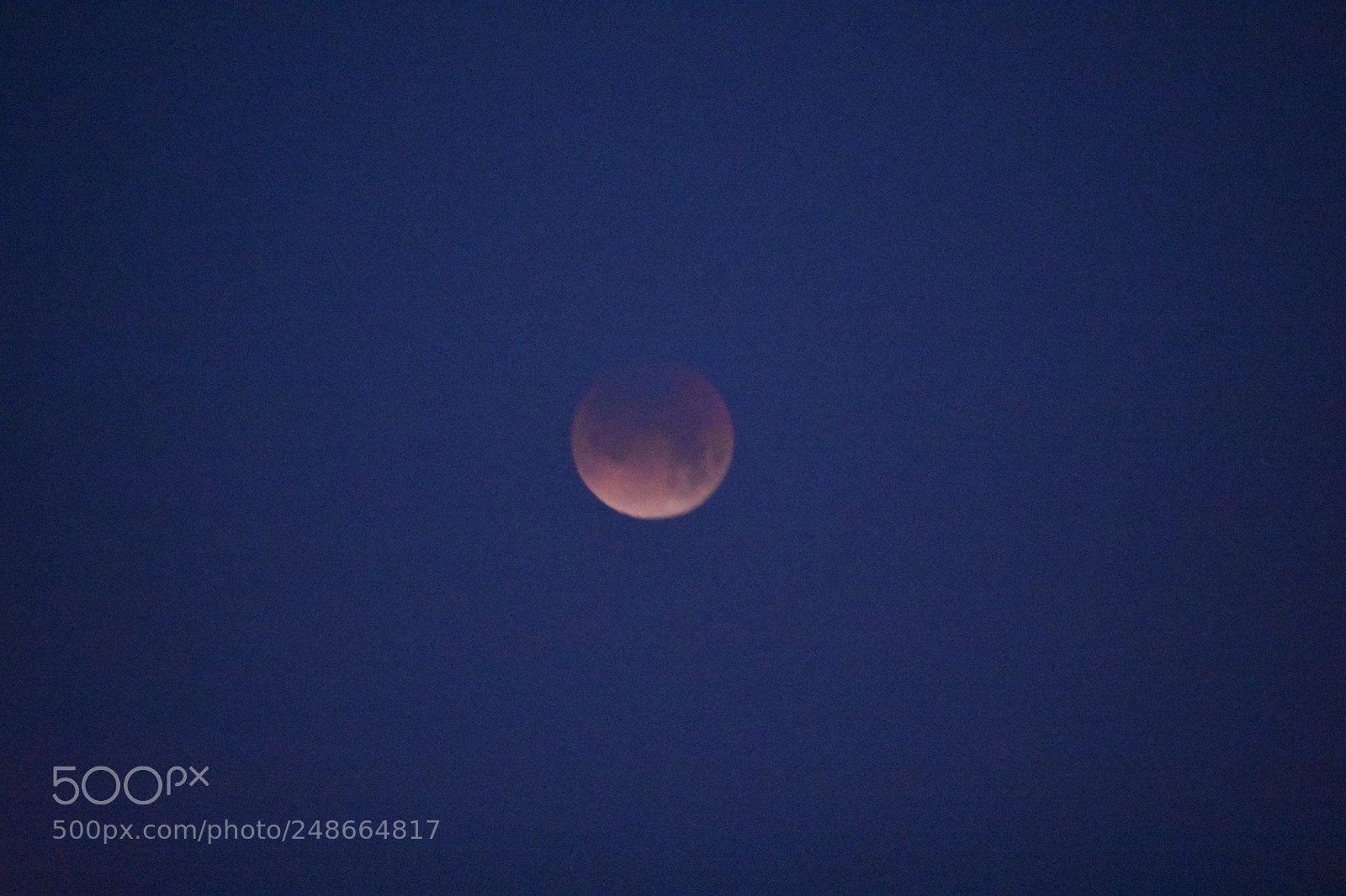 Nikon D3400 sample photo. Super blue blood moon photography