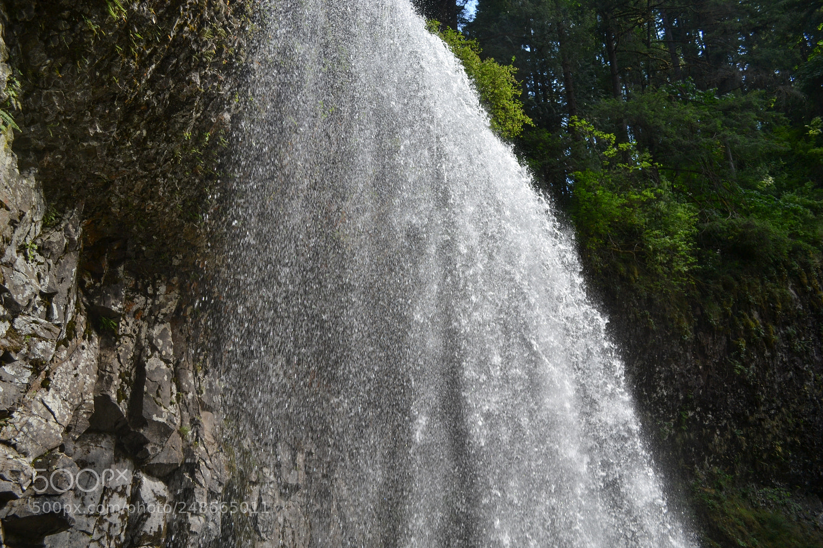 Nikon D3100 sample photo. Silverfalls photography