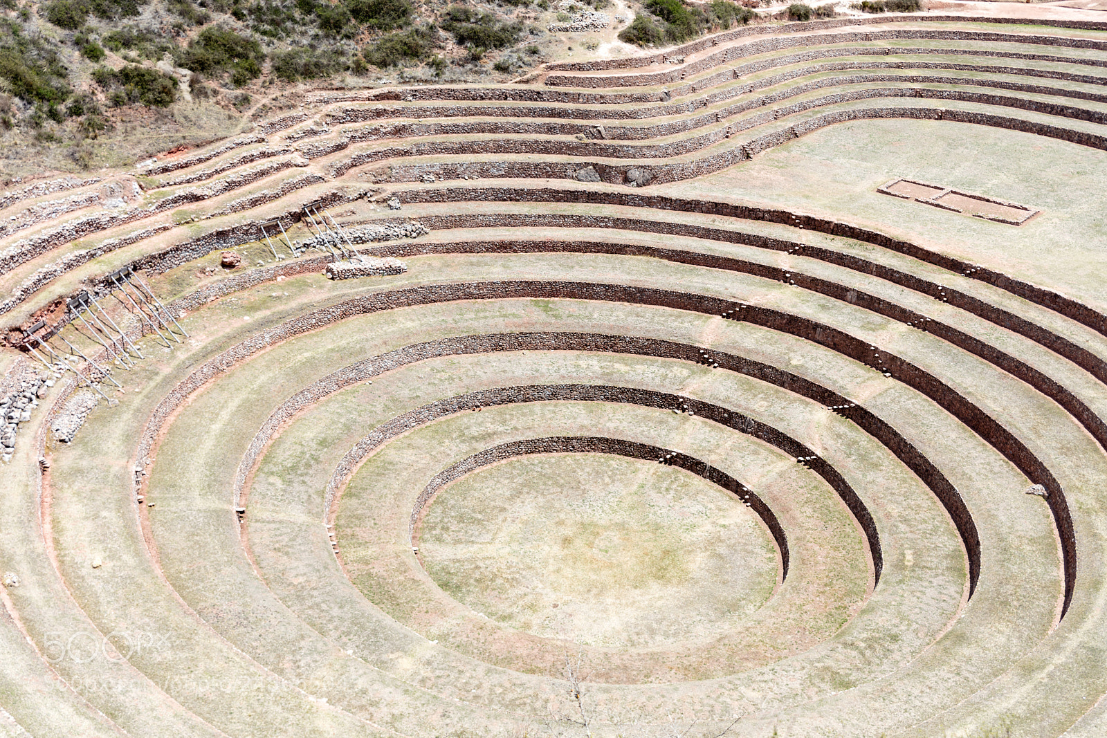 Canon EOS 5DS R sample photo. Circular terraces at moray photography