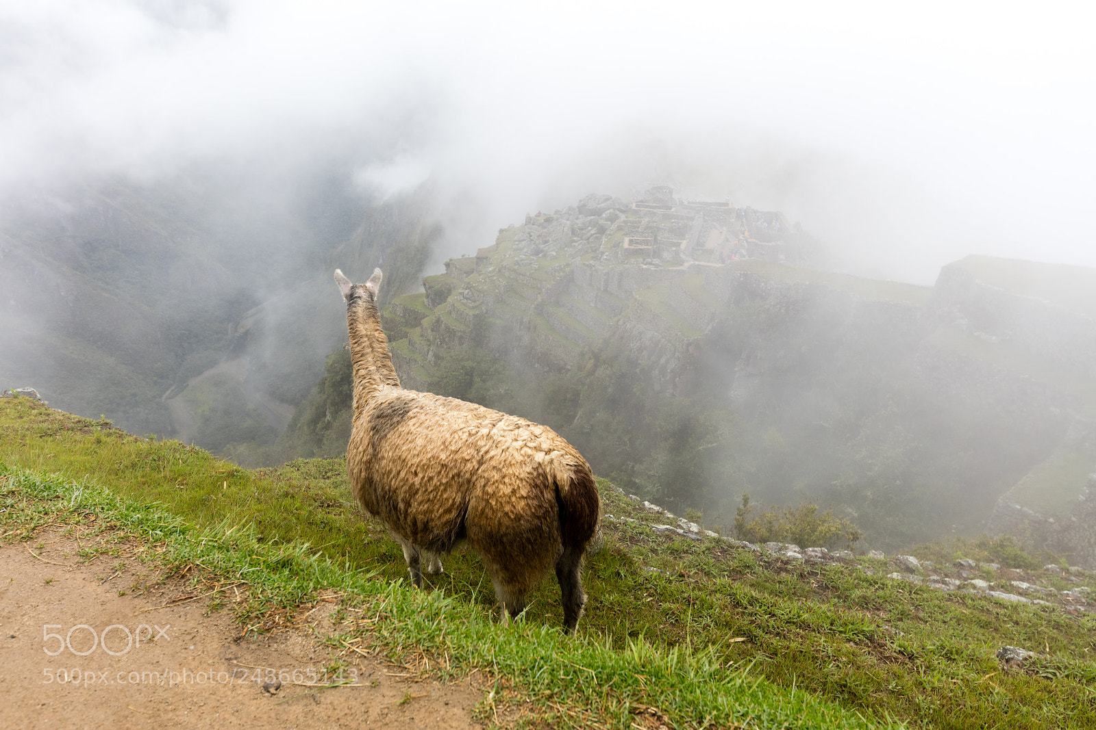 Canon EOS 5DS R sample photo. Machu picchu , peru, photography