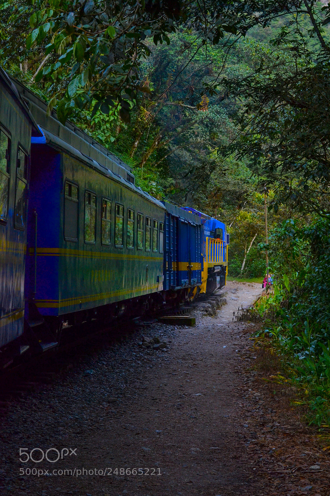 Nikon D3100 sample photo. Train in the jungle photography