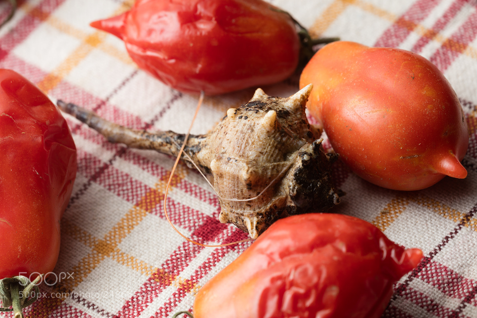 Canon EOS 5DS R sample photo. Sea snail with tomatoes photography
