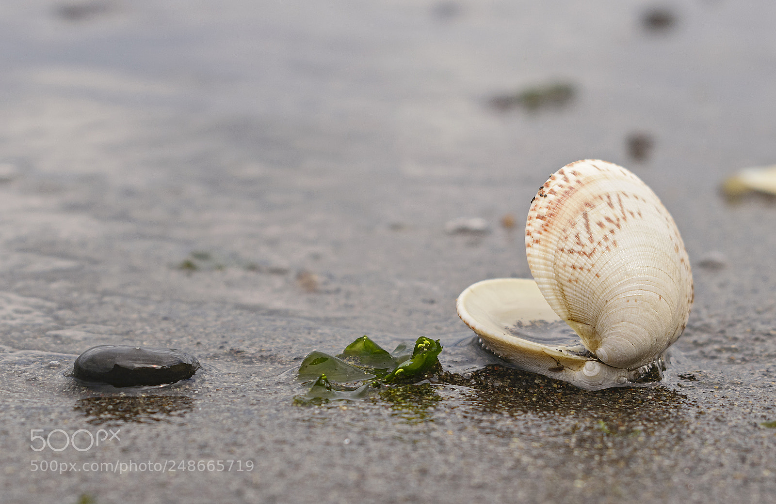 Nikon D5300 sample photo. Sea photography