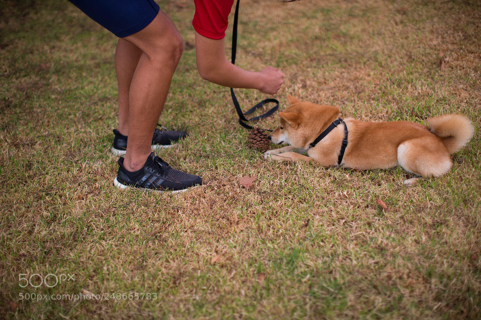 Canon EOS-1D X sample photo. Kai photography