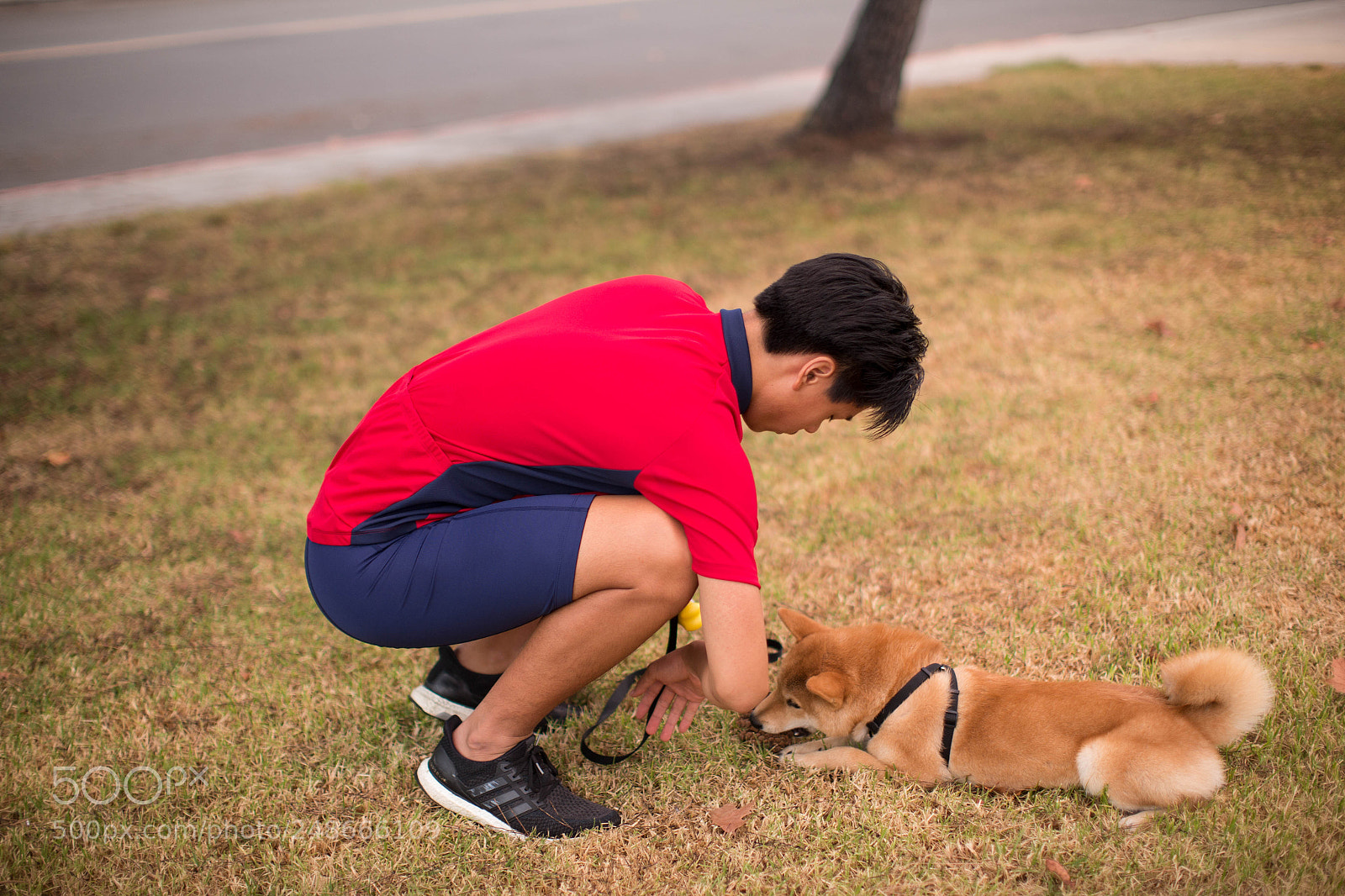 Canon EOS-1D X sample photo. Thang photography