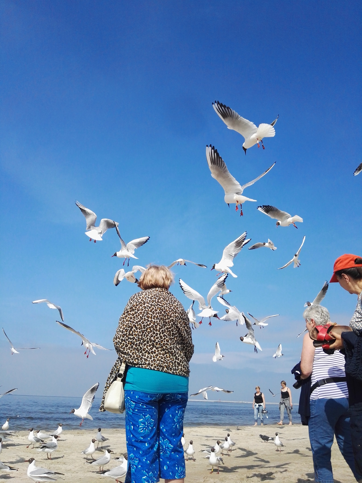 HUAWEI P8 sample photo