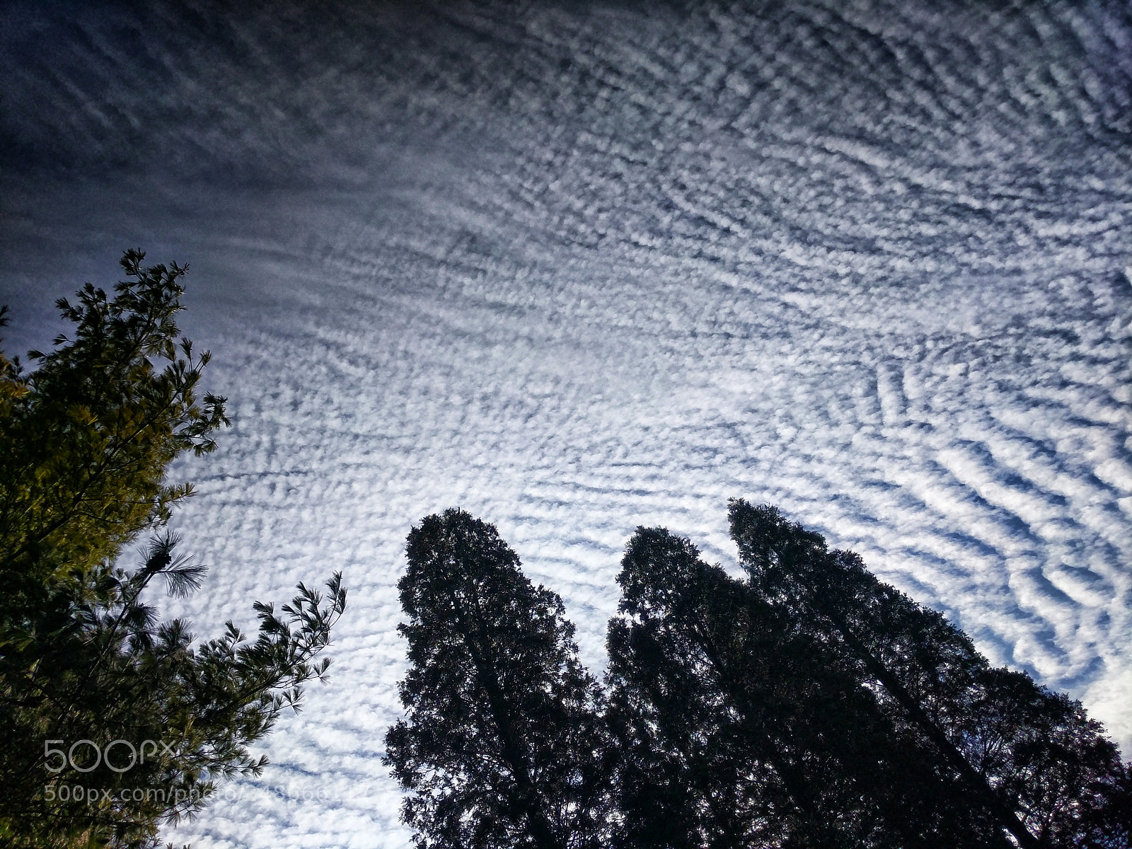 Google Pixel XL sample photo. Wave clouds photography