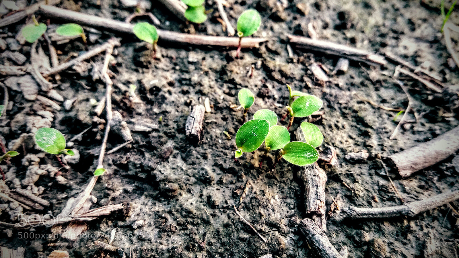 Samsung Galaxy J5 sample photo. Untitled photography